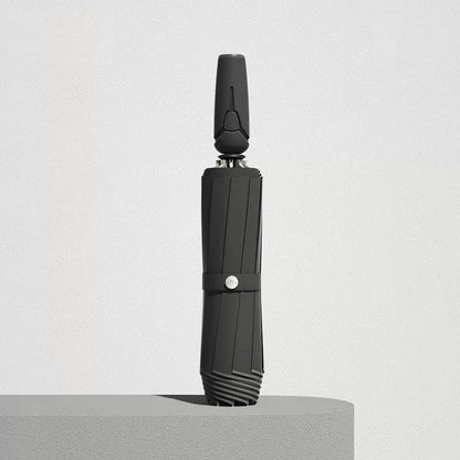 ✨✨Limited Time Offer✨✨-Automatic Umbrella
